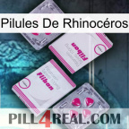 Pilules De Rhinocéros 33